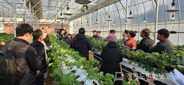 남양주시가 5일 관내 딸기 재배 농업인 30명을 대상으로 천적을 활용한 해충방제 교육을 펼치고 있다.