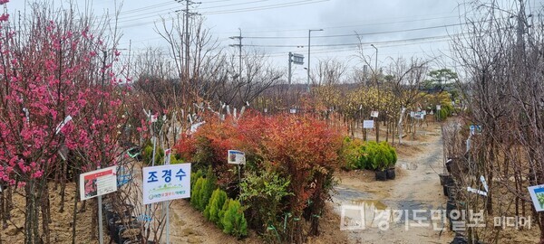 이천로컬푸드 묘목판매장. 