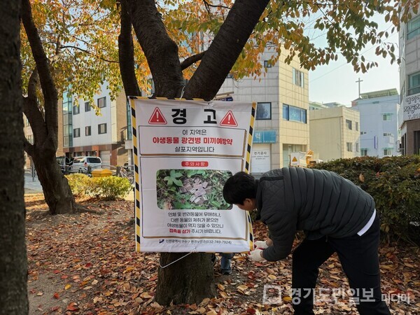 인천 연수구가 아파트, 공원 등 주거지 인근 너구리 출몰 지역을 중심으로 ‘광견병 미끼 예방약’을 살포하고 있다.