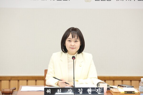 인천 서구의회 김원진 기획행정위원장.